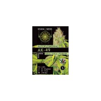 Ak49 Auto by Vision Seedes